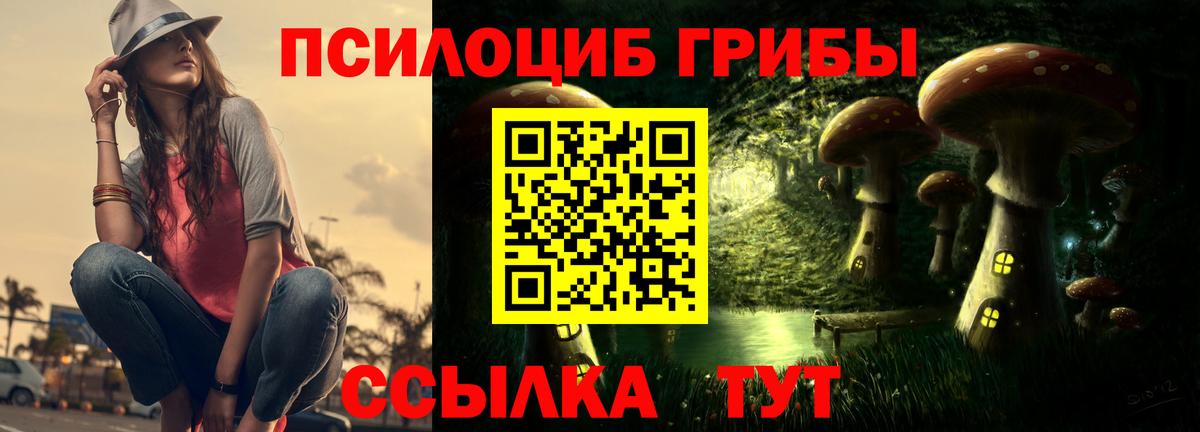 Чапаевск  Псилоцибиновые грибы Psilocybe  Галлюциногенные грибы MAGIC MUSHROOMS  Вход с VPN 